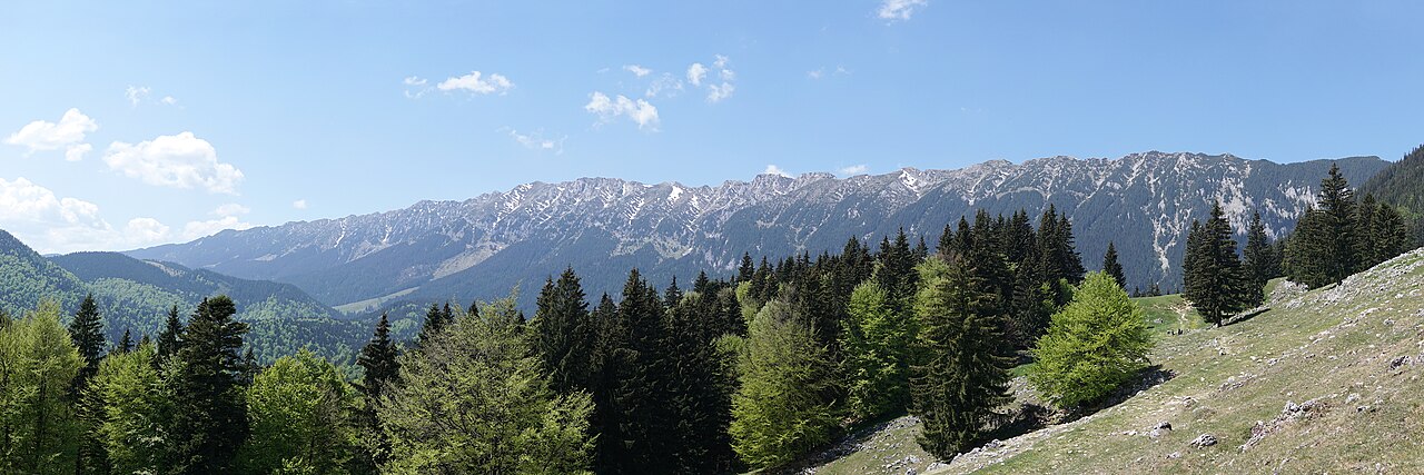 Munții Piatra Craiului, zona Rucăr – Sătic